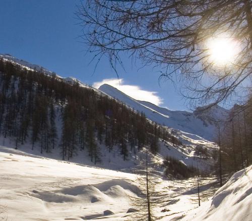 Silver Snow Weeks 4 days + 4-day ski pass