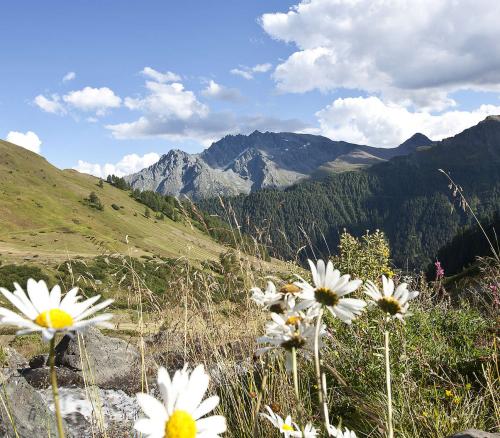 Engadin - "weekend hit"