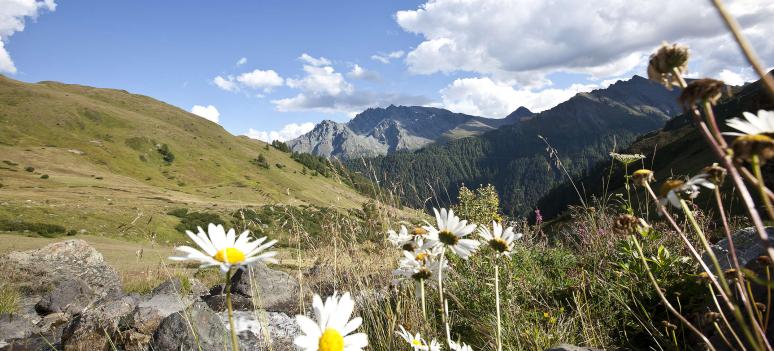 Engadin - "weekend hit"